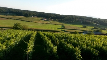 1447255468 20150731 192831