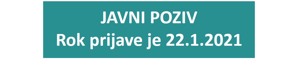 Javni poziv ikona
