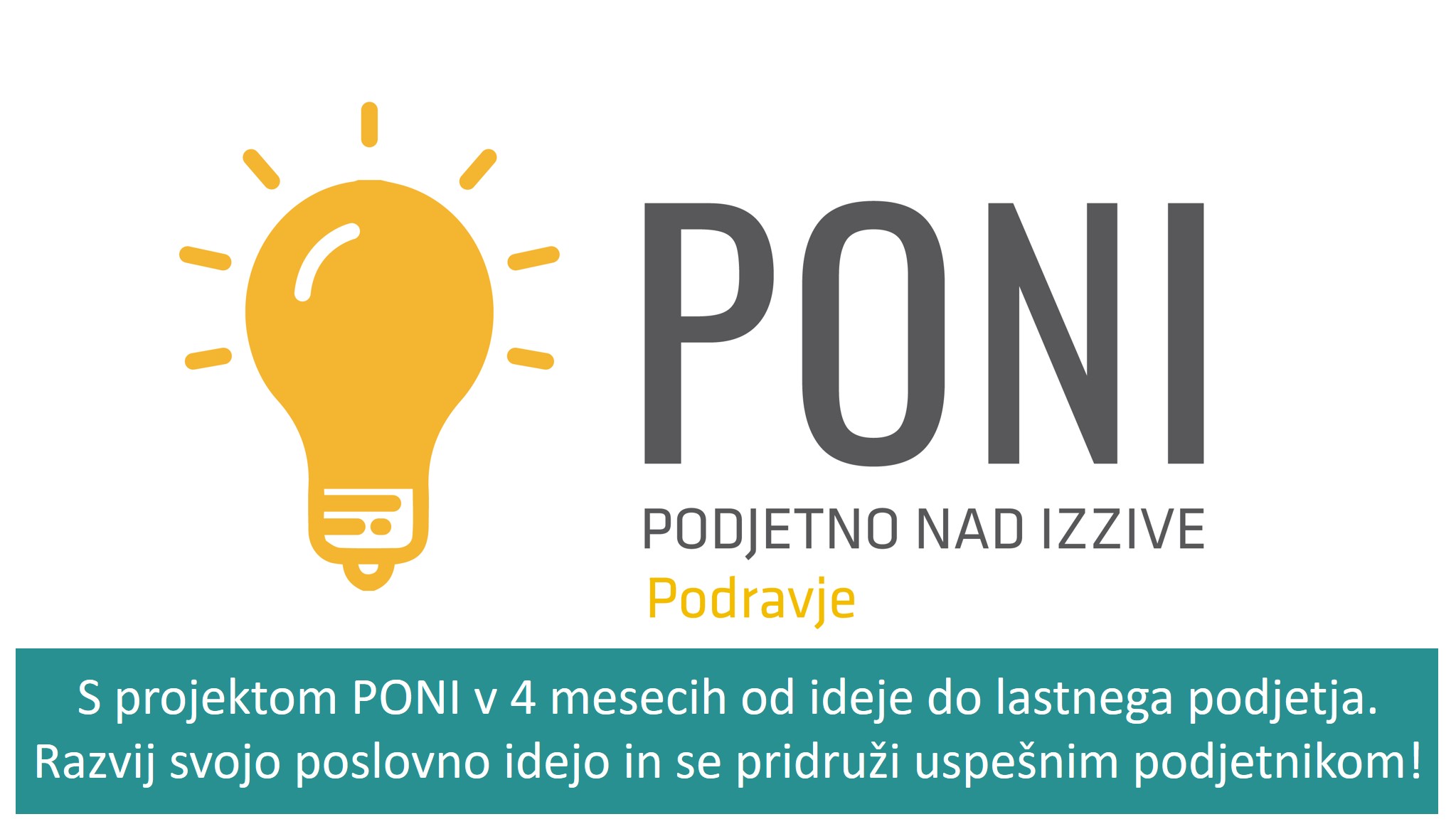 Poni osnova