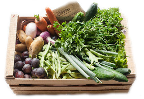 zabojcek dobrina net