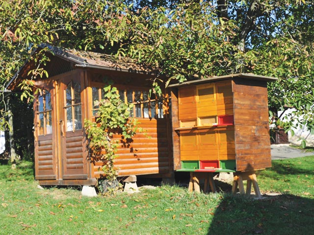 cebelarstvo zarnec 01