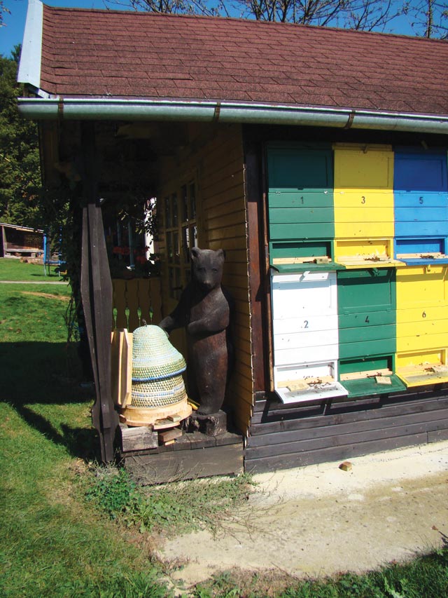 cebelarstvo zarnec 03