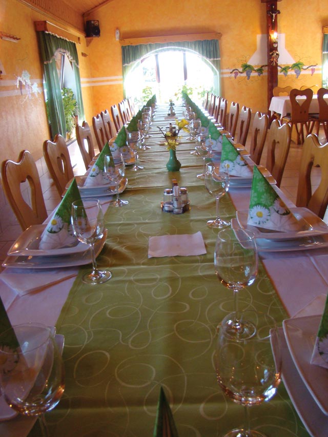 itk zoks pri mlinarjevih 03