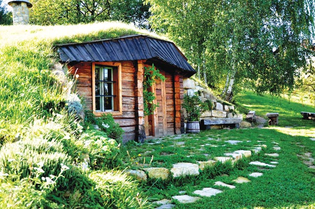 zelisca kolaric 02