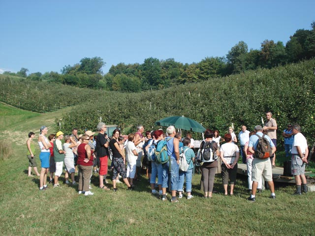 kmetija demeter purgaj 01