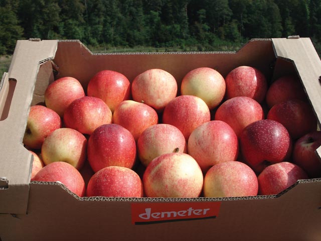 kmetija demeter purgaj 05